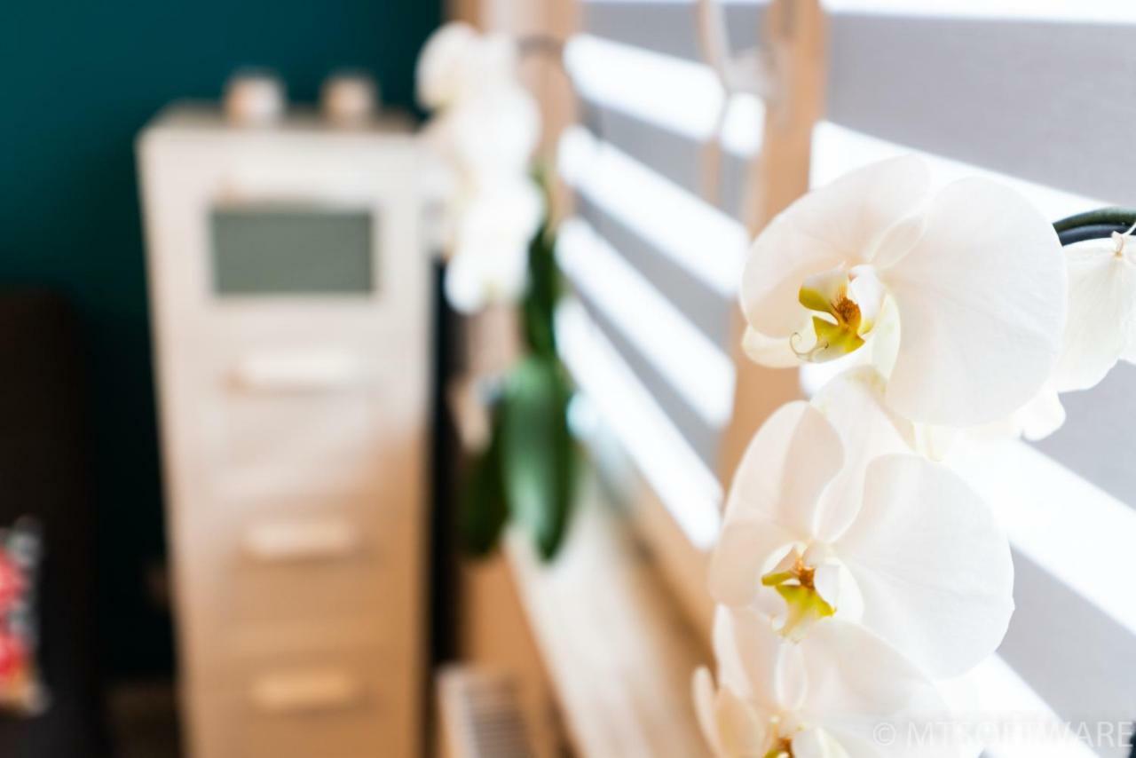 Cozy - Bunscha - Ruczaj Apartament Kraków